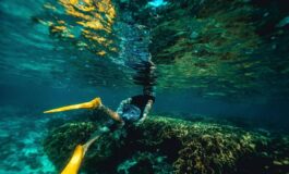 Italiani morti alle Maldive durante immersione lo pneumologo Con concentrazioni elevate lossigeno diventa tossico 265x160