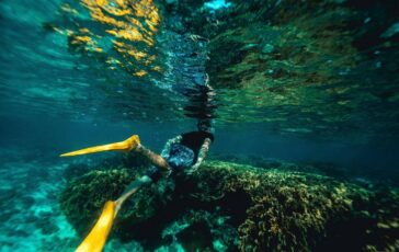 Italiani morti alle Maldive durante immersione lo pneumologo Con concentrazioni elevate lossigeno diventa tossico 364x230
