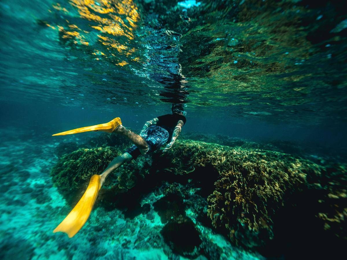 Italiani morti alle Maldive durante immersione, lo pneumologo: "Con concentrazioni elevate l’ossigeno diventa tossico"