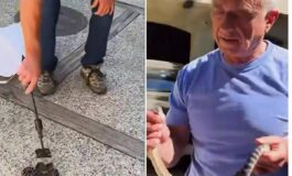 Kennedy ancora a caccia di serpenti stavolta non viene morso 265x160