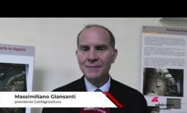 Made in Italy Giansanti Confagricoltura ‘rafforzare le filiere produttive strategiche per il 265x160