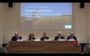 made in italy oro saiwa 70 anni di eccellenza e valore per litalia 2