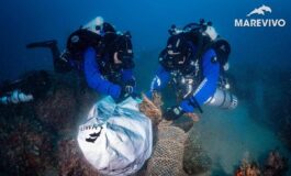 Marevivo Arca Fondi recuperata rete fantasma di 3mila m da fondali Siracusa 265x160