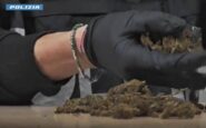 maxi operazione della polizia 1 335 arresti sequestrati 450 kg di droga 2