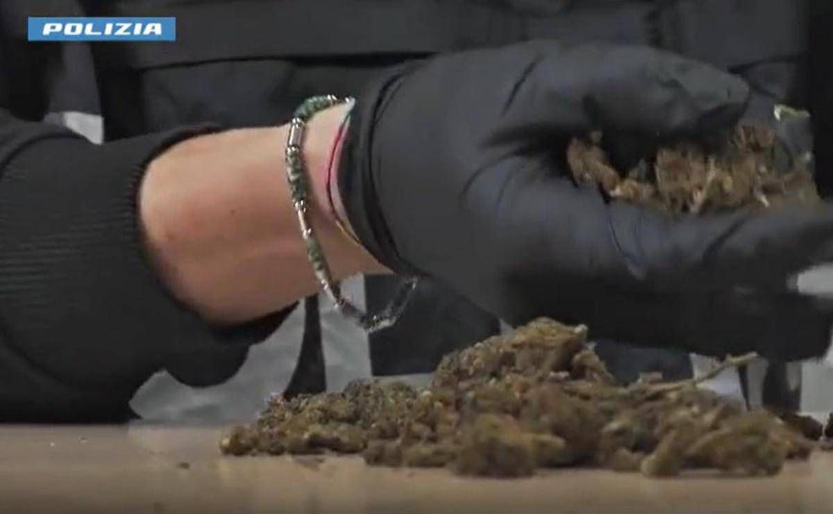 Maxi operazione della polizia 1.335 arresti sequestrati 450 kg di droga