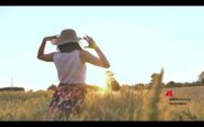 mulino bianco lancia la nuova campagna dove la natura e una storia buona 2