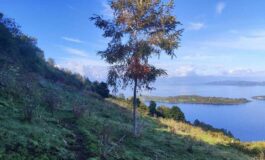Mundys Neya lancia in Cile nuovo progetto riforestazione di 170 ettari 265x160