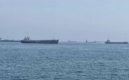 non solo petrolio la guerra tra iran e usa blocca i pistacchi stop allexport 2