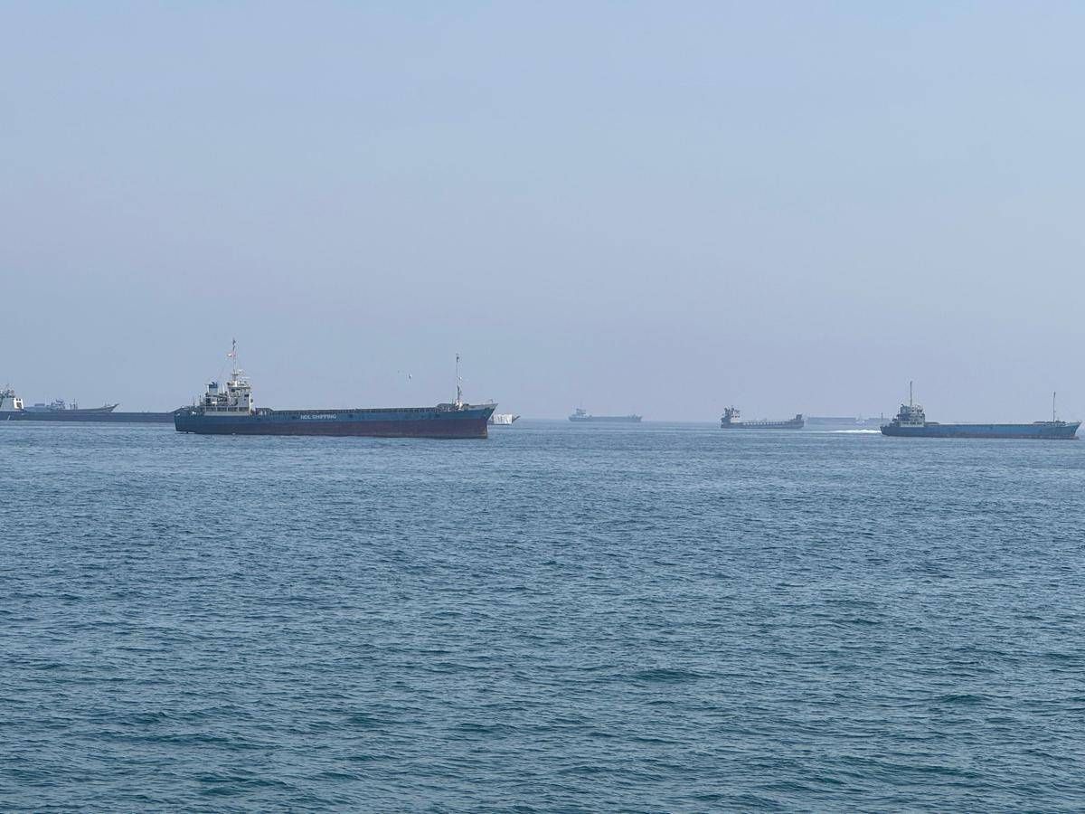 Non solo petrolio, la guerra tra Iran e Usa blocca i pistacchi: stop all'export