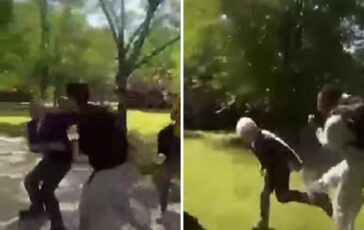 Parma docenti aggrediti e picchiati da studenti E non chiamare il 113 364x230