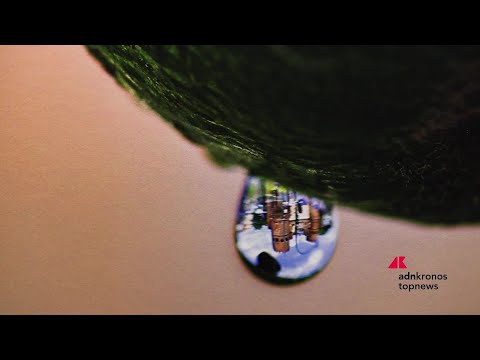 Premio ACEA Contemporanea, annunciati i vincitori: il tema dell'acqua nel lavoro dei giovani artisti