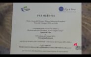 premio spes 2026 a ugo zampetti per lalto senso civico e il servizio alla repubblica 4