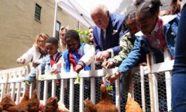 Reali e pollai Carlo e Meghan I know my chickens 265x160