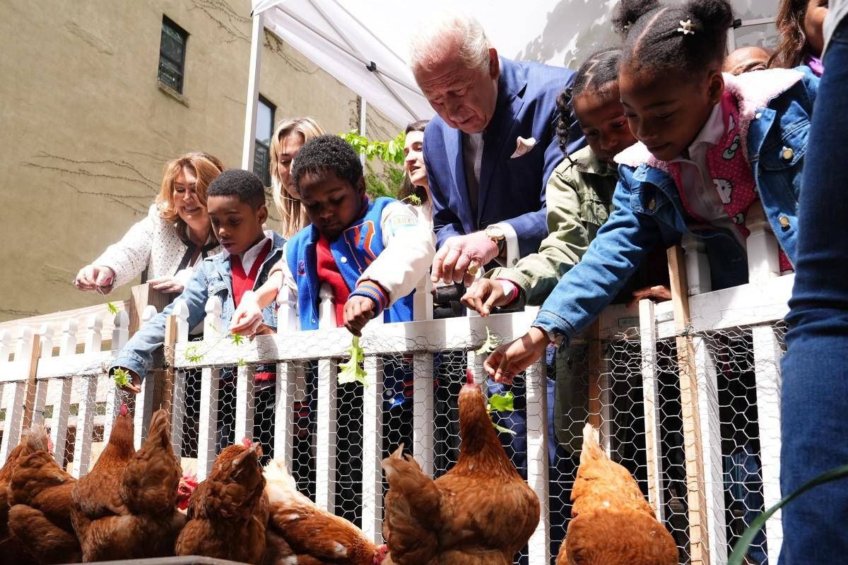 Reali e pollai, Carlo e Meghan: "I know my chickens"