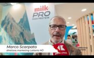 riminwellness obiettivo benessere psicofisico 2