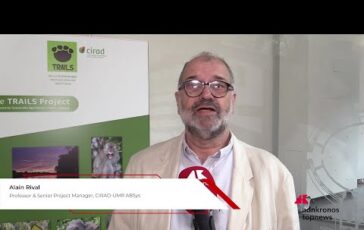 Rival Cirad Progetto Trails per integrazione sostenibile tra foreste e palma da olio 364x230