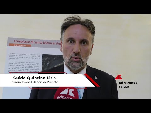 Sanità, Liris (Fdi): "Paziente al centro per rispondere a sollecitazioni dei territori"