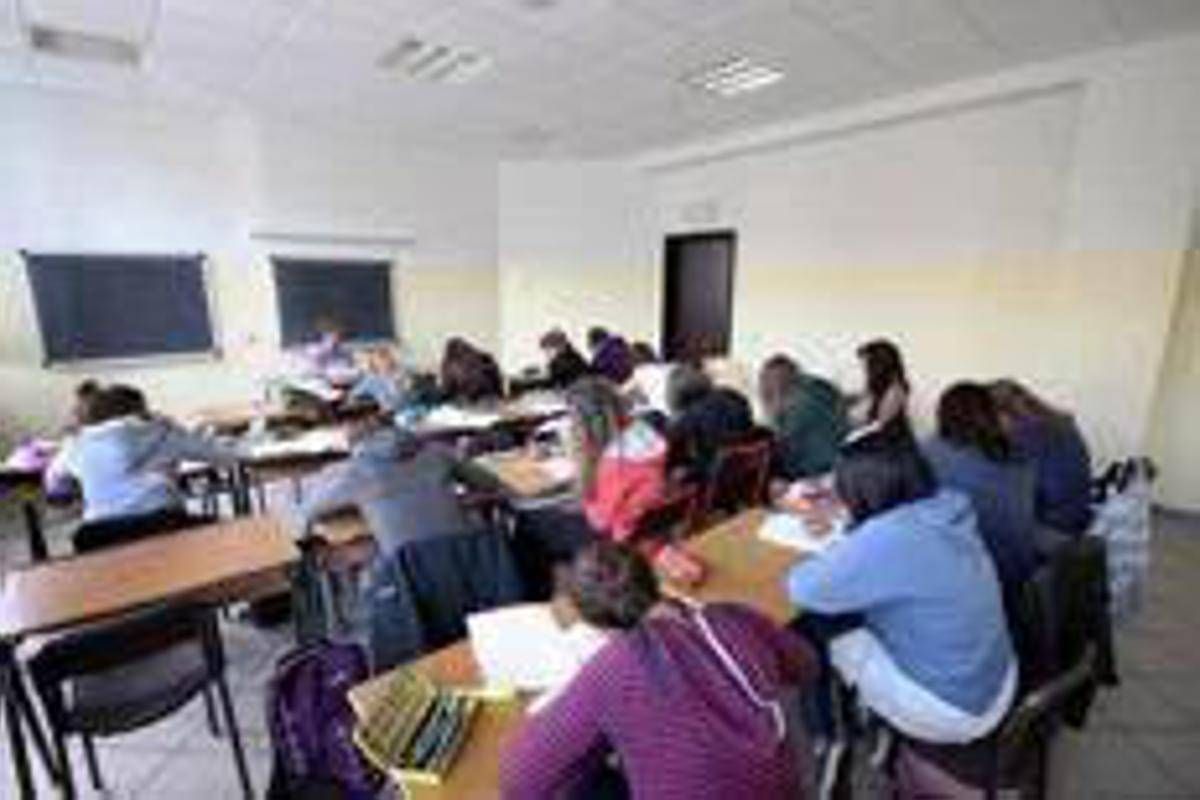 Scuola Anief su rinnovo ccnl 2025 27 parita trattamento precari buoni pasto e compensi per formazione