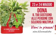 settimana nazionale della sclerosi multipla tornano le erbe aromatiche aism in 500 piazze 2