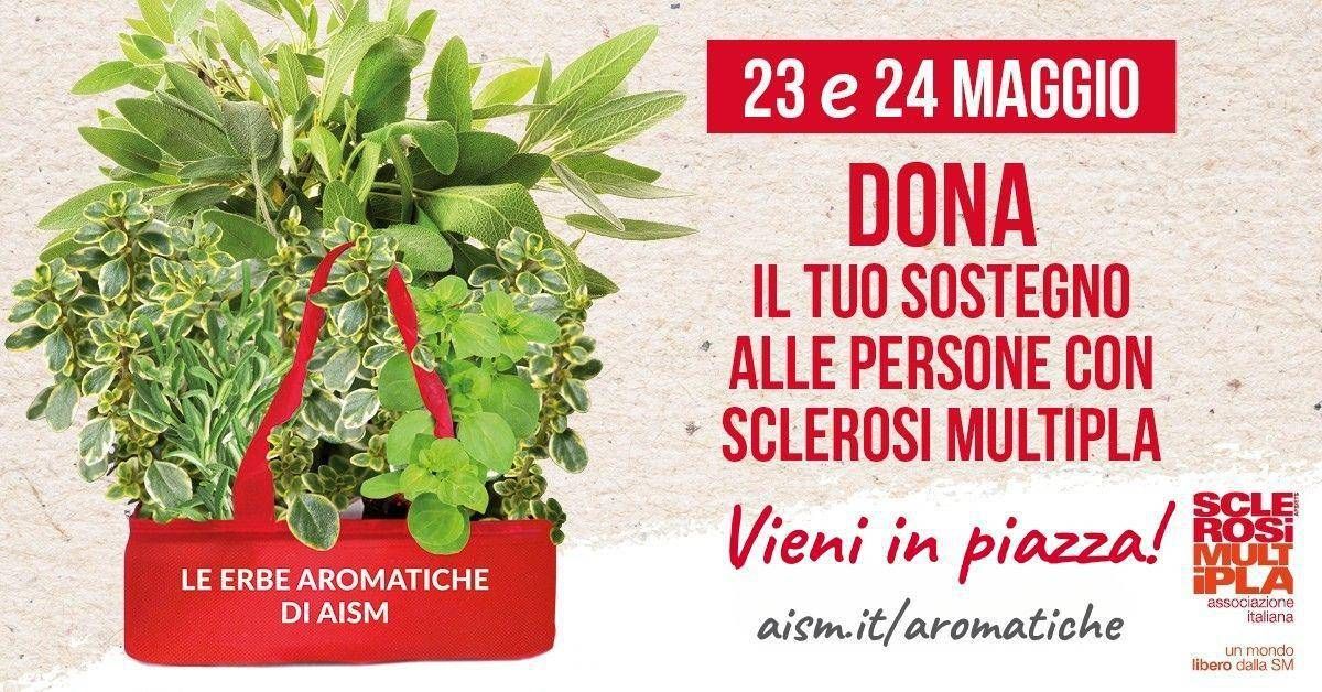 Settimana nazionale della sclerosi multipla, tornano le erbe aromatiche Aism in 500 piazze