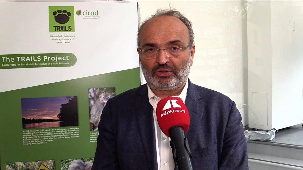 Sostenibilità, Pratesi (Eiis): "Nuove generazioni devono assumersi responsabilità"