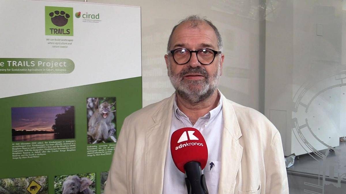 Sostenibilità, Rival (Cirad): "Con Trails integrazione tra foreste e palma da olio"