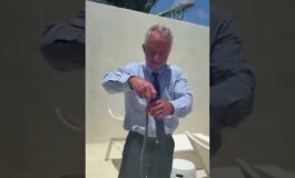 Stati Uniti il segretario della salute Kennedy cattura 2 serpenti a mani nude e viene morso 265x160