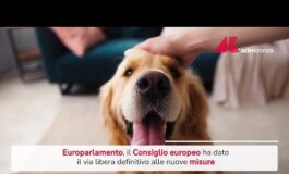 Tracciabilita di cani e gatti via libera Consiglio europeo a nuove misure 265x160