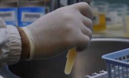 Tre morti per possibile focolaio di infezione da hantavirus su nave da crociera nellAtlantico﻿ 265x160