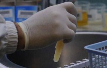Tre morti per possibile focolaio di infezione da hantavirus su nave da crociera nellAtlantico﻿ 364x230