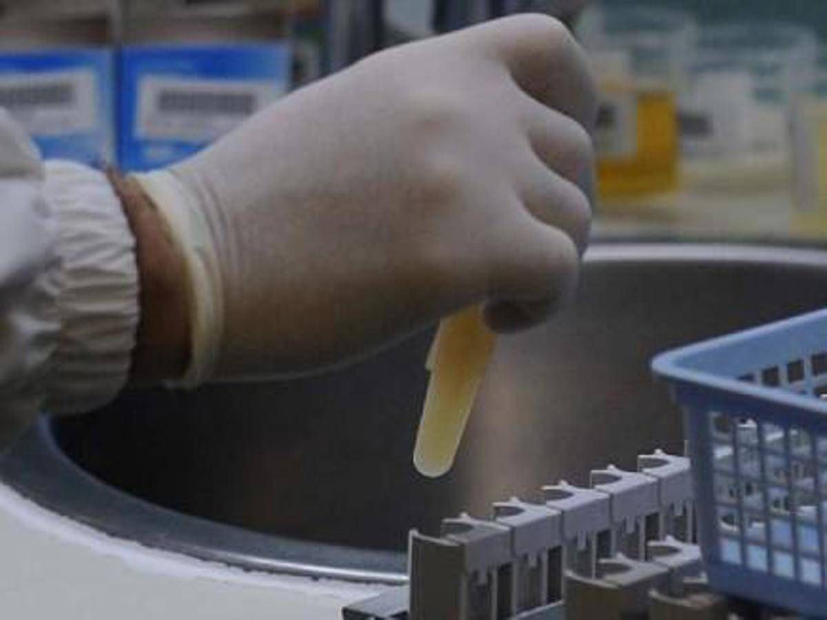 Tre morti per possibile focolaio di infezione da hantavirus su nave da crociera nell'Atlantico﻿