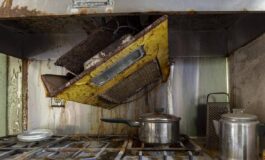 Treccani lancia lallarme barbonismo domestico il disagio spesso invisibile 265x160