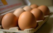 uova proteggono il cervello lo studio consumo regolare riduce rischio di alzheimer 2
