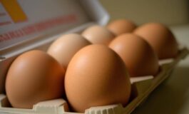 Uova proteggono il cervello lo studio Consumo regolare riduce rischio di Alzheimer 265x160