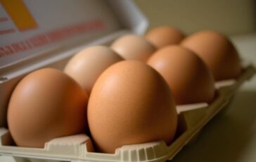 Uova proteggono il cervello lo studio Consumo regolare riduce rischio di Alzheimer 364x230