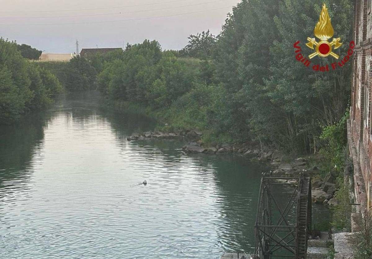 Verona, 15enne si tuffa e annega nel torrente Guà: corpo ripescato dopo quattro ore