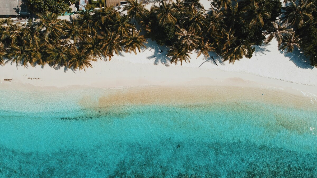 Cinque turisti morti alle Maldive, cosa può essere successo? Dalla narcosi da azoto alla perdita dell'orientamento