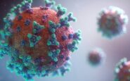 pandemia hantavirus ebola