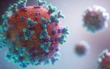 pandemia hantavirus ebola