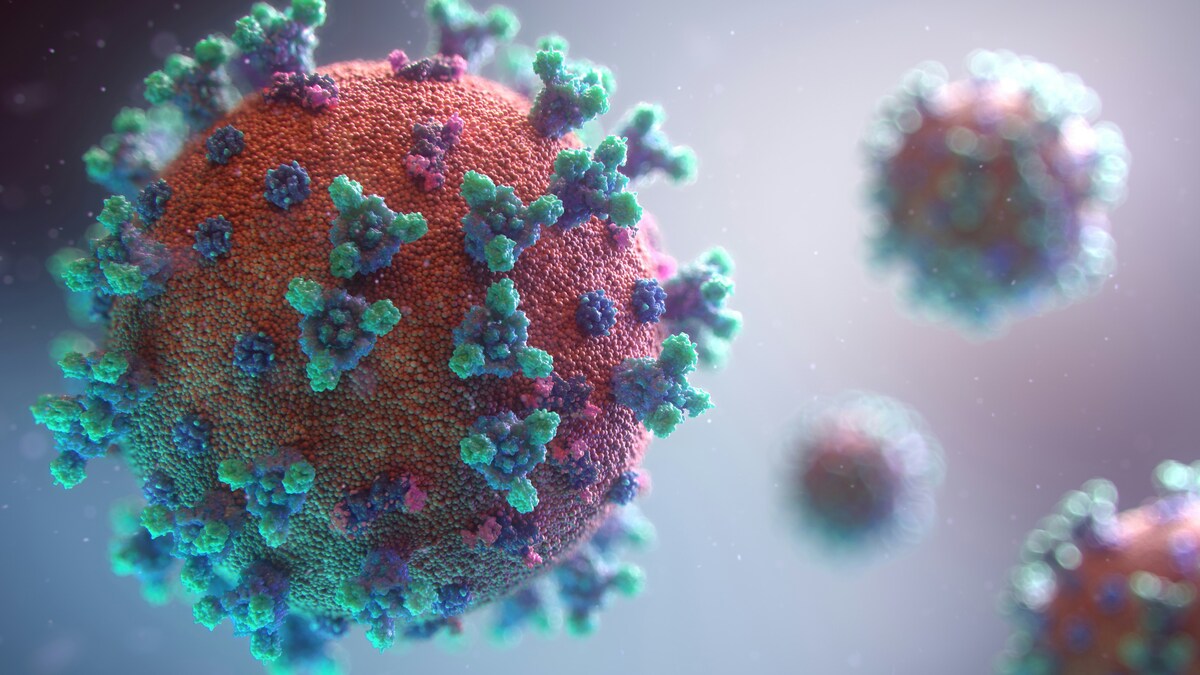 Tra Ebola e hantavirus, l'Oms lancia l'allarme: il mondo oggi è più vulnerabile alle pandemie