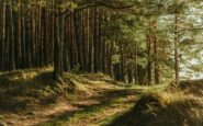 famiglia nel bosco perizia