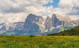 familienhotelscom chiemseherin seiser alm 8123284 1280 265x160
