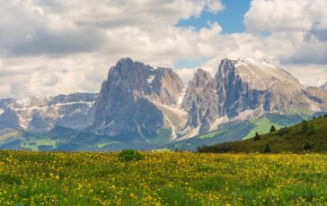familienhotelscom chiemseherin seiser alm 8123284 1280 364x230