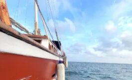 flotilla abusi