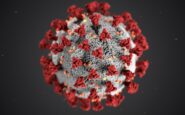 hantavirus vaccino