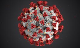hantavirus vaccino