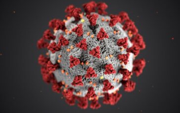 hantavirus vaccino