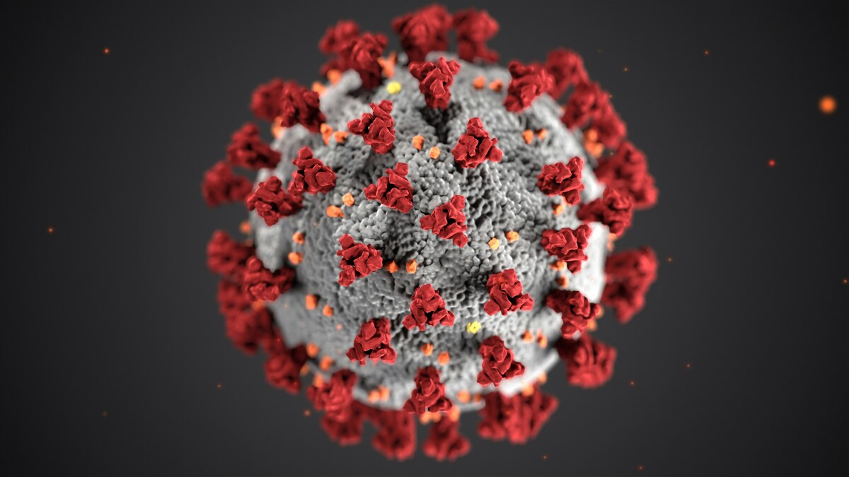 Hantavirus, è corsa al vaccino: Moderna già al lavoro