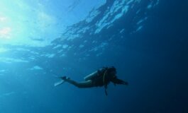 maldive sub morti