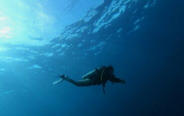 maldive sub morti